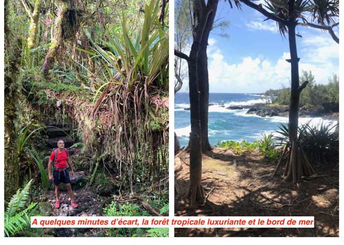 Belouve et bord de mer