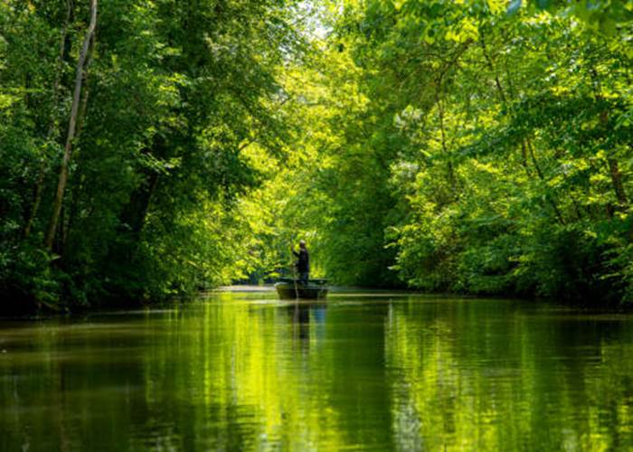 Barque-Marais-Niort-Chambres d'hotes-