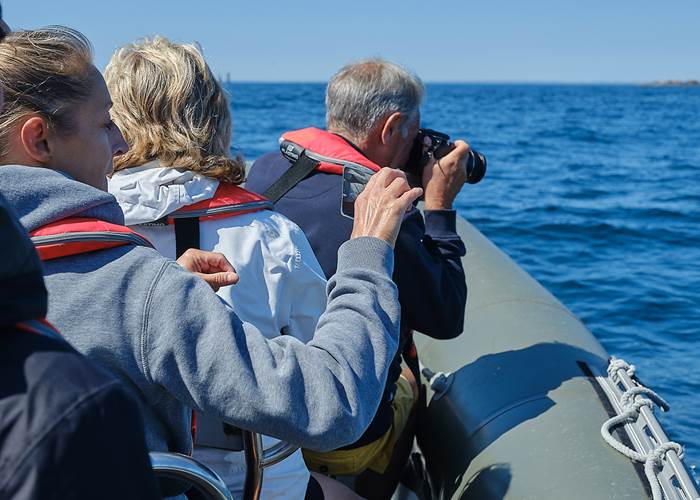 Semi-rigide ARKELOU, Promenade en mer, observations nature, Le Guilvinec