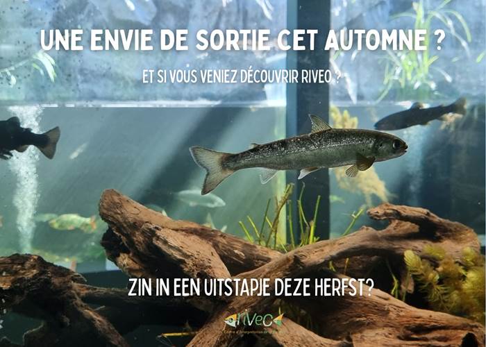 idee-sortie-famille-automne-nature-riveo-wallonie
