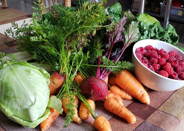 Del Huerto a la Olla...