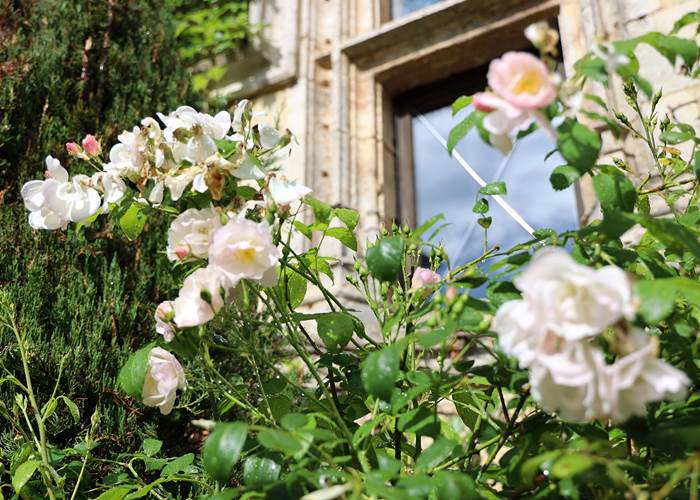 Chateau de Saint Chamarand - Exterieur, terasse et jardin