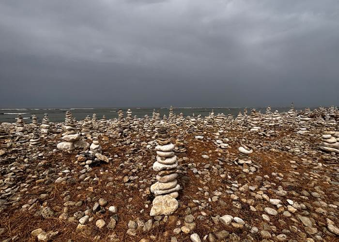 Balade aux alentours du phare de Chassiron