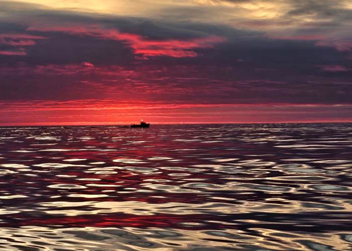 485676065_1835624763889475_6937110495245189337_n