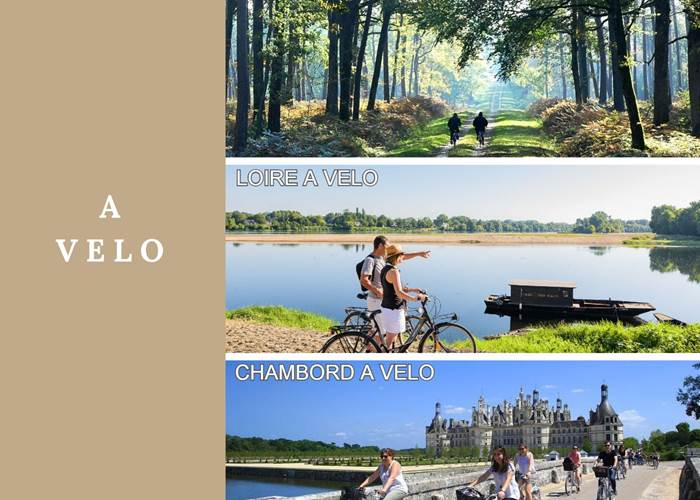 Domaine du Gué du Roi A Velo