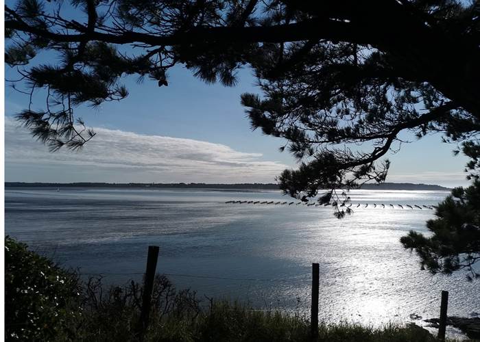 billiers plage du crapeau gr 34 morbihan bretagne maison d'hôtes bien être séjour repos ressourcement détente anti stress cure ayurvédique spa