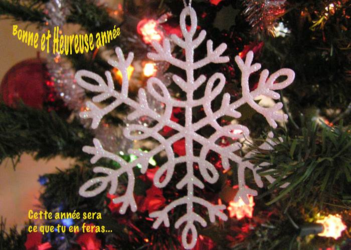 Meilleurs vœux 2026