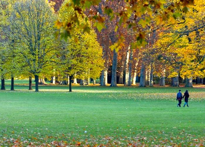 parc Tête dOr