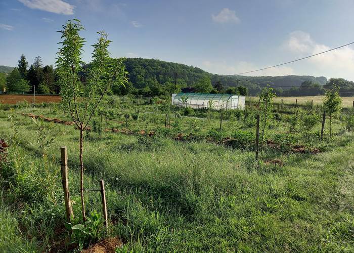 Verger au printemps 2022