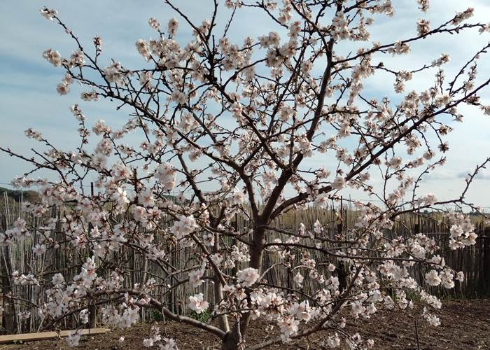 Le printemps est de retour