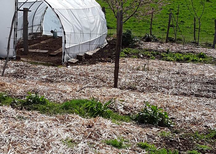 LE POTAGER S'EVEILLE