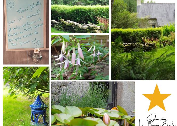 Composition paysagère saison 2024