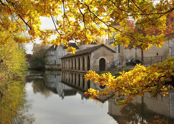 Chablis l'automne