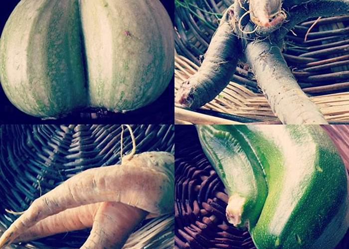 Variation de Légumes Bio