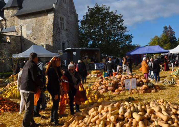 citrouille2