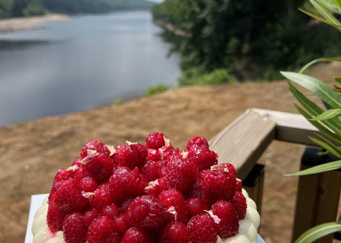 Tarte aux framboises - Maison Borzeix Besse