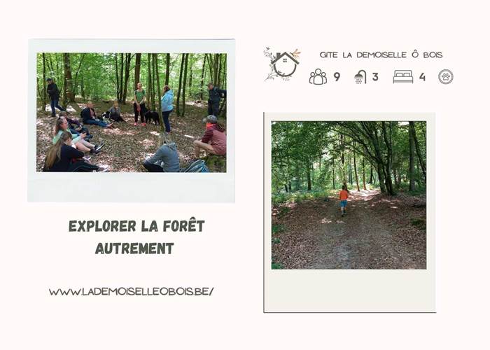 balade guidée par la Demoiselle ô bois