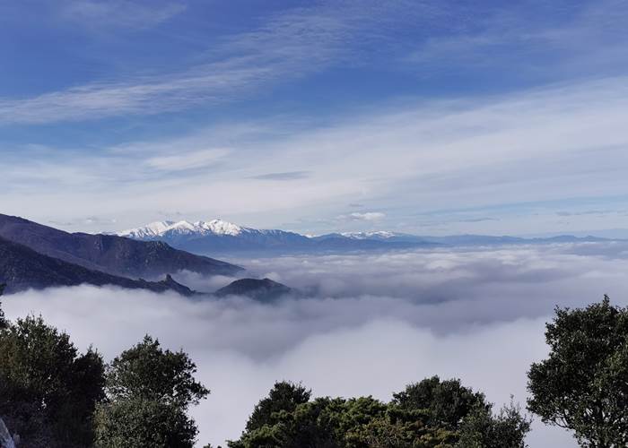 Le Canigou vue des Albères