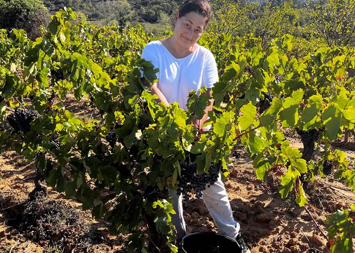 Petite pose dans les carignans