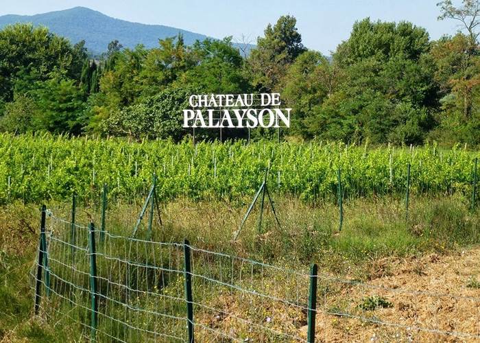 Domaine de Palayson