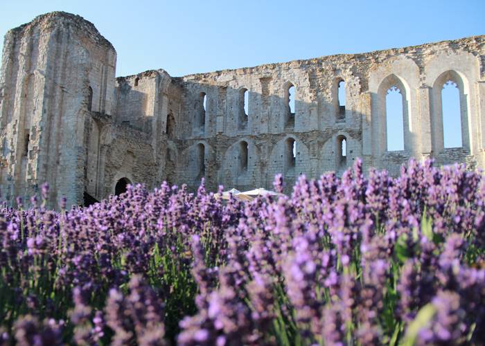 Abbaye de Maillezais