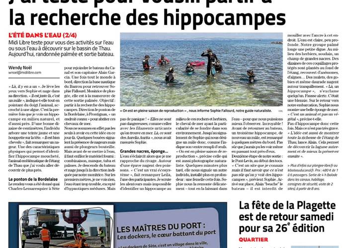 Midi libre hippocampes Thau