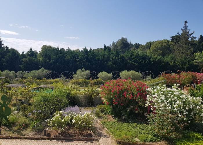 Jardin d'Alcinoos