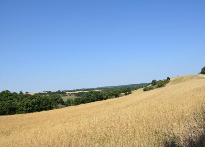Les causses du Quercy en été