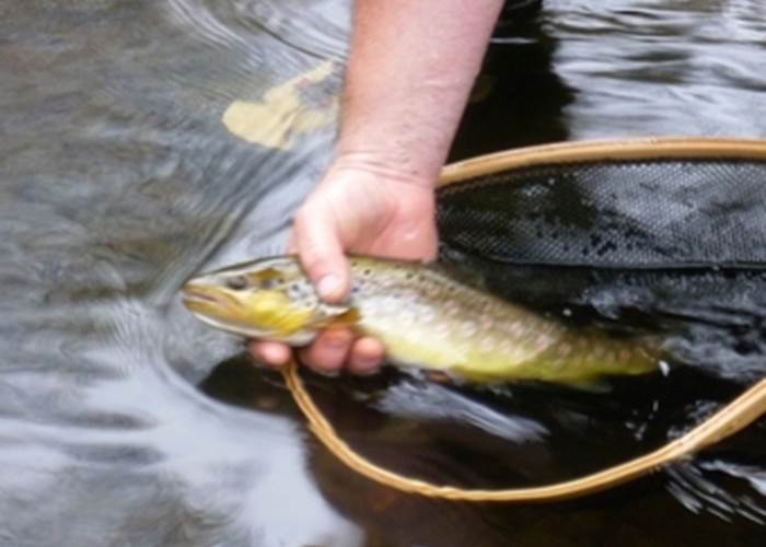 ami pêcheur, le limousin, un pays pour vous pêcheur, hébergement pêche 87120