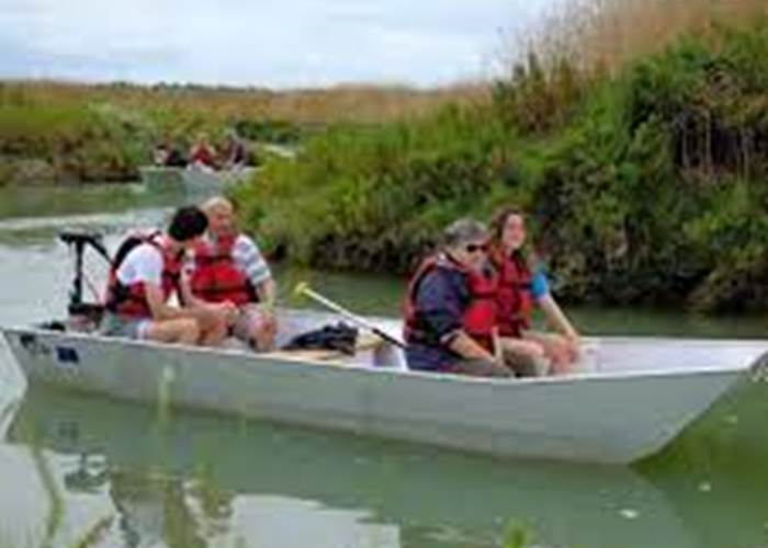 location de bateau électrique sur le port