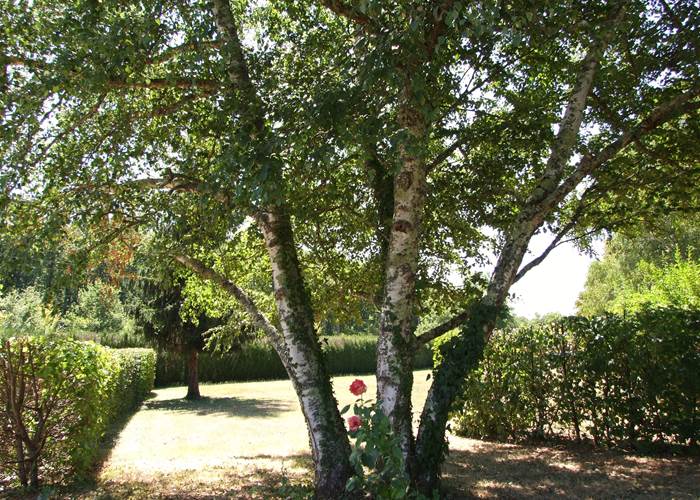 entree-chambres-dhotes-perigord