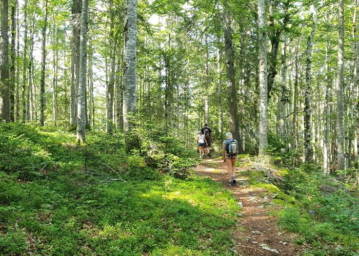 Notre famille en randonnée dans la forêt du Risoux