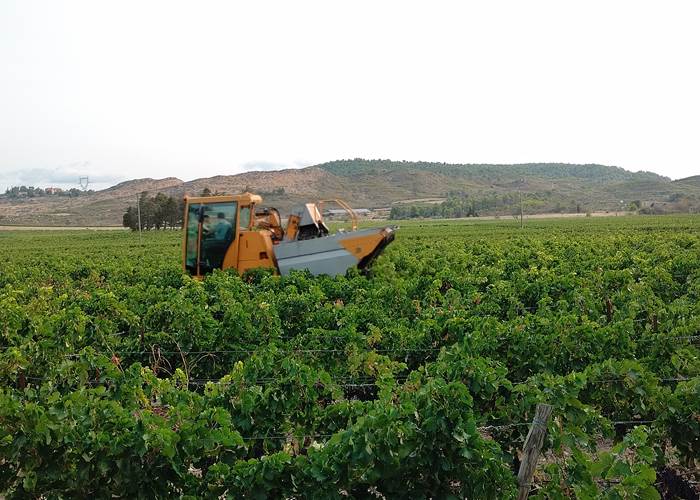 Des séjours à thèmes