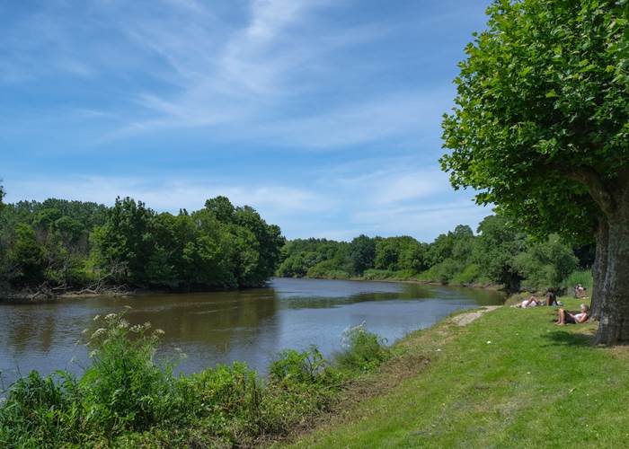 Sèvre Nantaise, la Cale de Beautour