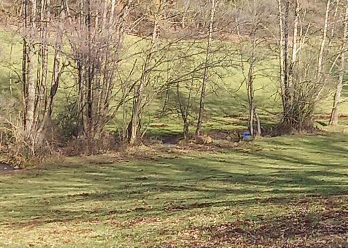 Petit ruisseau paisible