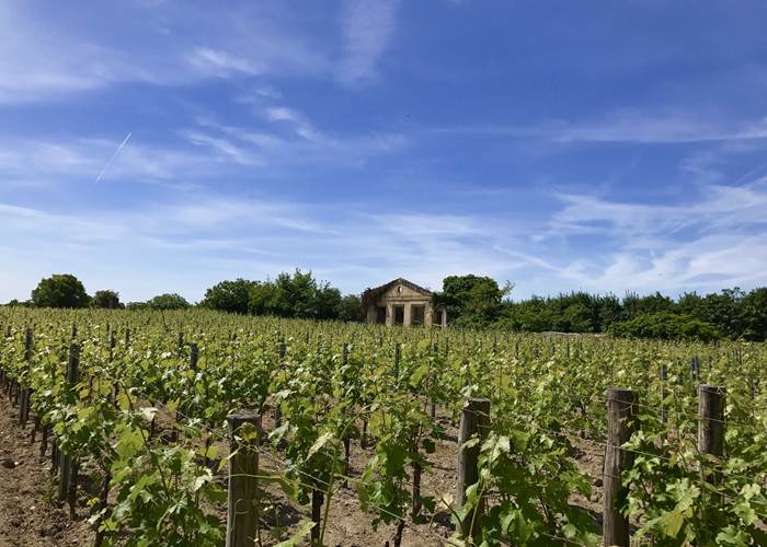 Vignoble de Saint-Émilion