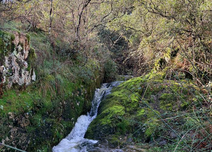 Le torrent caché de Cocody