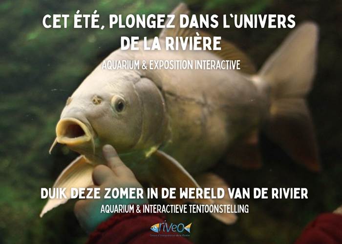 activite-famille-vacance-aquarium-riveo-ardenne