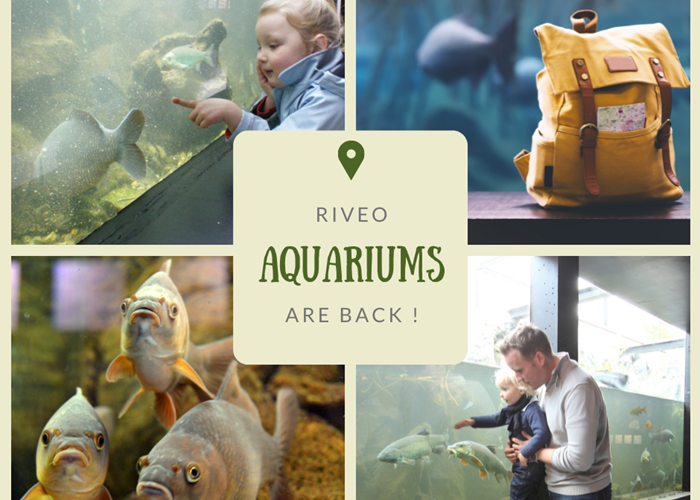 Aquariums RiveO