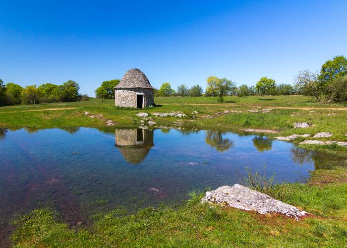 Cazelle à Livernon