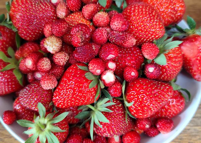 La Grange de Bonneville - nos fraises et fraises des bois