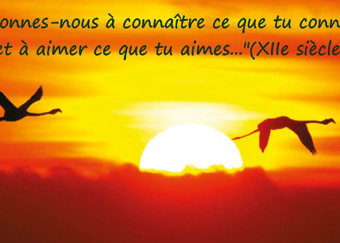 Sans titre