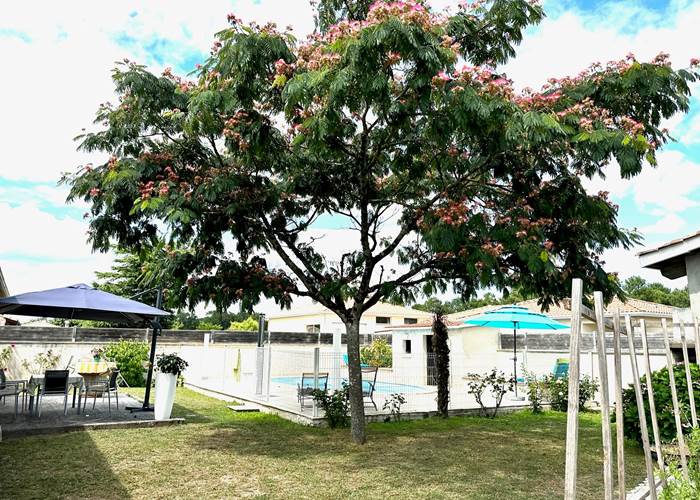 jardin-ombrage-albizia-piscine-chambres-hotes-mas-des-anges-soussans-medoc.jpg