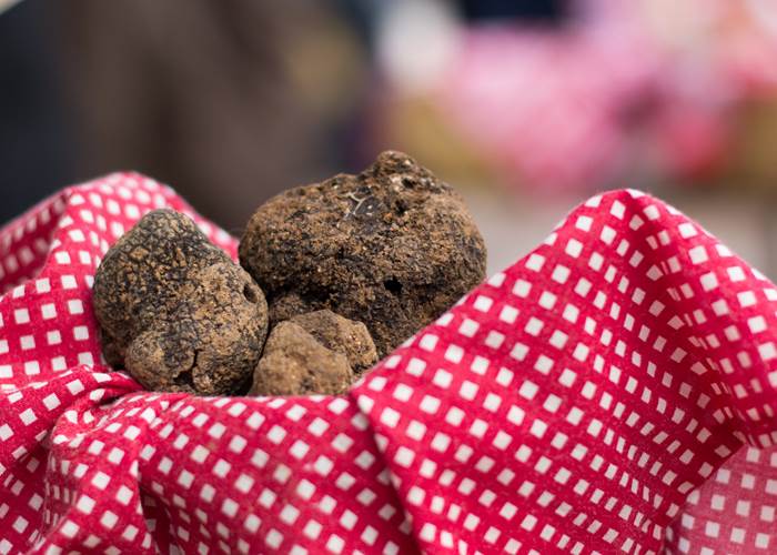 Lot Tourisme -Marché aux truffes de Lalbenque-