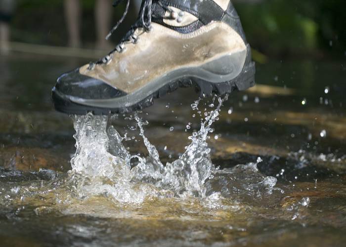 Randonnée dans l’eau d’une rivière en forêt lors d’un parcours nature en plein air