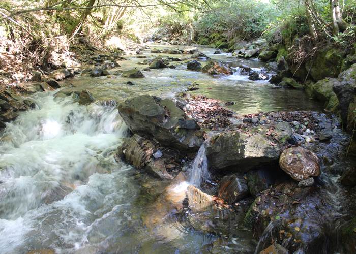 25 gave d'Aspe Vallée D'aspe