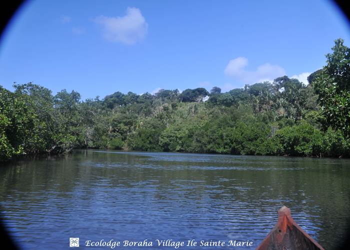 Mangrove Boraha Village Ile Ste Marie Madagascar 05