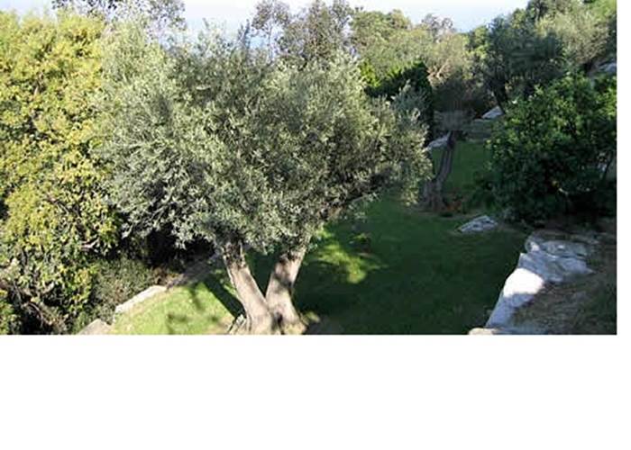 amazing sea vue villa 7 bedrooms 6 bathrooms south france riviera garden