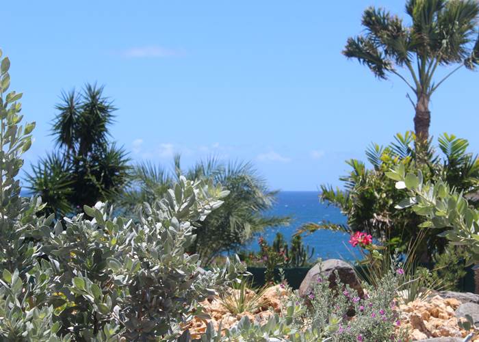 Iguane House villas & Micro Spa jardin et vue mer