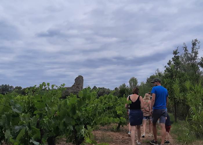 Balade vigneronne Domaine La Tasque